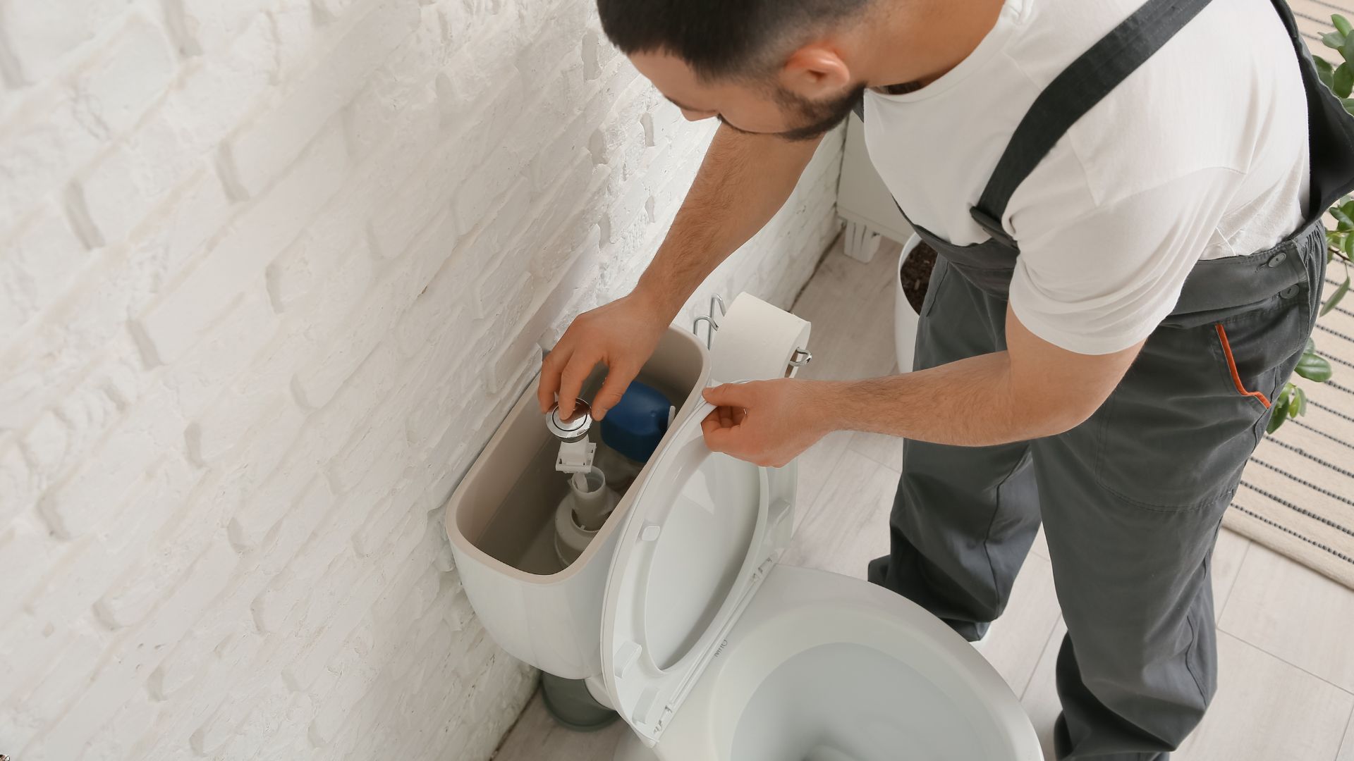 Projekt bez nazwy(226)